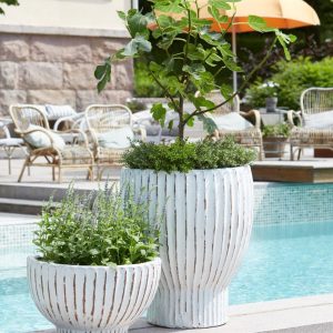 KRUKA | FEDORA ANTIKVIT 2/S