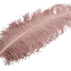 Fjäder | Strutsfjäder Dusty Pink 60 cm