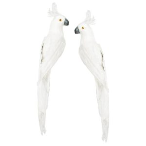 Fågel | Papegoja Kakadua Vit 50 cm