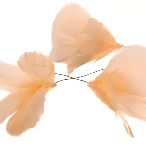 Fjäder | Fjäderblomma på tråd 12-pack – L Aprikos 10 cm