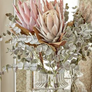 Abonnera | Blombukett Protea 72 cm