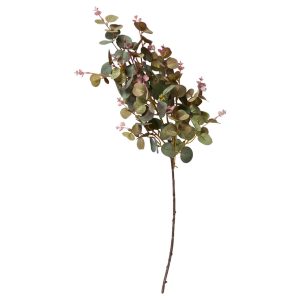 Eucaluptus | Eucalyptus kvist Grön mix 70 cm