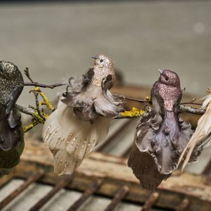 Fågel | Grön med klips 16 cm