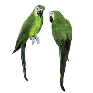Fågel | Papegoja Grön 43 cm