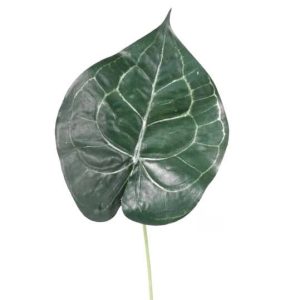 Anthurium | Konstgjord Rosenkalla Litet Blad  41 cm
