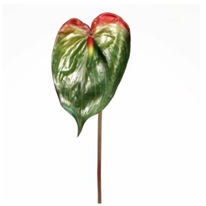 Anthurium | Konstgjord Rosenkalla grön 80 cm