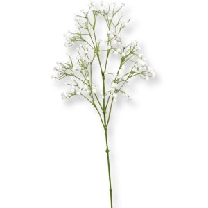Gypsophila | Brudslöja Vit 66 cm