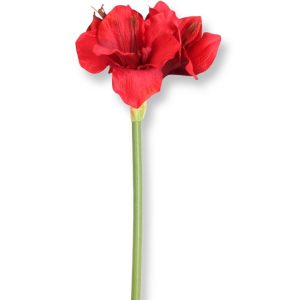 Amaryllis | Konstgjord snittblomma Röd 50 cm