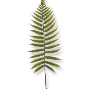 Blad | Konstgjord Ormbunksblad ljusgrön 80 cm