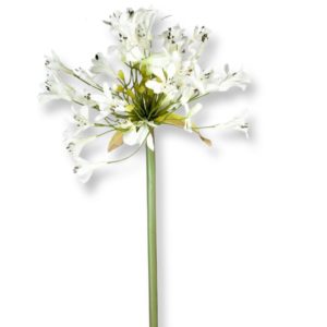 Agapantus | Konstgjord snittblomma Afrikas Lilja Cream 90 cm