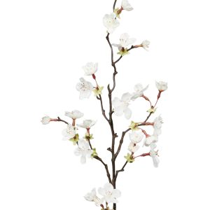 Körsbärskvist | Körsbärsblom Vit 60 cm