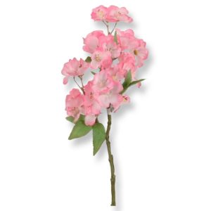 Körsbärskvist | Körsbärsblom Rosa 33 cm