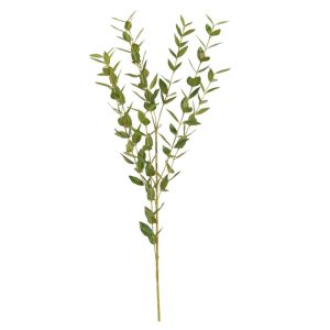 Eucaluptus | Eucalyptus Grön kvist UV  59cm