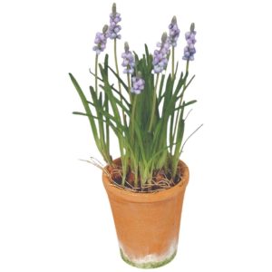 Pärlyacint | Konstgjord  i kruka blå 30 cm