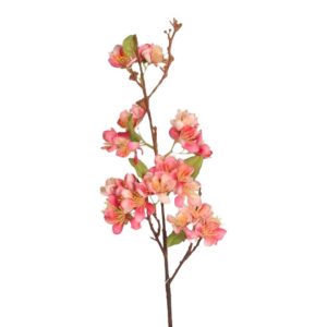 Äppelblom | Ljus Rosa 60 cm