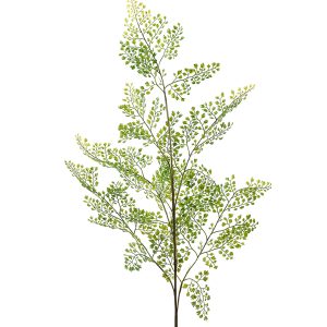 Adiantum blad 140 cm