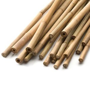 Bambu | Bambukäpp L 90 cm 5/7 mm