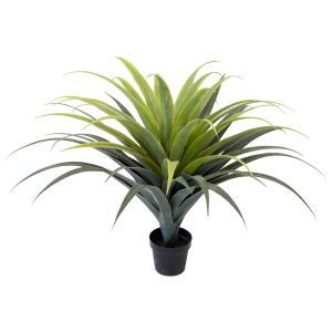 AGAVE | AGAVE 110 CM