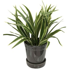 Ampellilja | Konstgjord krukväxt Grön 30 cm