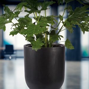 KRUKA | JUBILEE SVART 46×55 CM