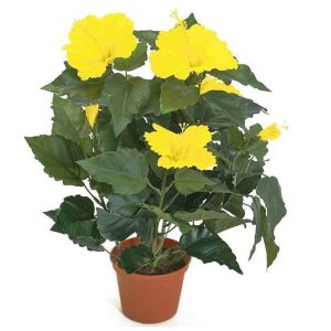 Hibiskus | Konstgjord krukväxt Gul 42 cm