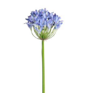 Agapanthus | Konstgjord Snittblomma Blå UV 60 cm
