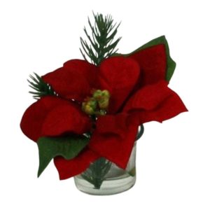 Julstjärna | Monterad i liten glasvas röd 12 cm