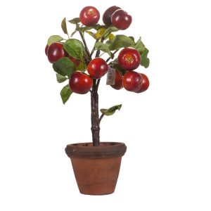 Äppelträd |  Äpple i kruka 40 cm