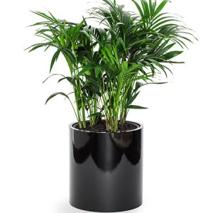 Kruka | TENDENCE ROUND 2 SVART 47 x 50 cm