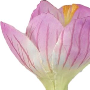 Crocus | Konstgjord På Lök Rosa UV 28 cm
