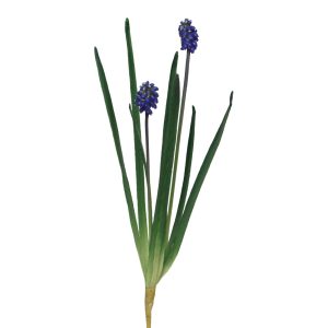 Pärlhyacint | Konstgjord Blå UV 28 cm